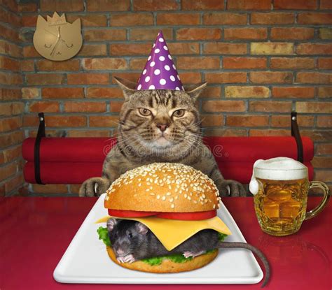 Cat Eats Mouse Burger in Restaurant Stock Image - Image of cafeteria, funny: 183133269