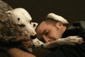 Dog-petting-person GIFs - Get the best GIF on GIPHY