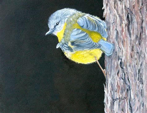 Eastern Yellow Robin – Acrylic – SOLD – Denise Smith – Wildlife Artist