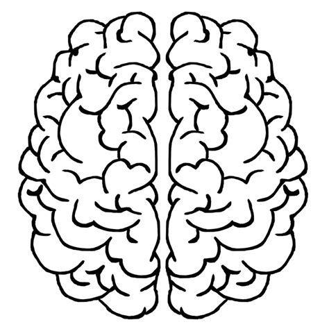 Brain Mind Gray Matter · Free image on Pixabay