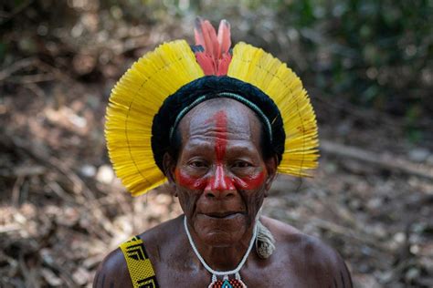 Amazon crisis: Warring tribes unite against Bolsonaro plans to devastate Brazil’s rainforests ...