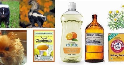 Ottawa Valley Dog Whisperer : How to Remove Skunk Spray Odor from a Dog, Cat - Body, Eyes, Mouth ...