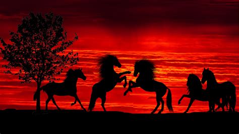 Download wallpaper 1920x1080 sunset, silhouette, horses, herd, full hd, hdtv, fhd, 1080p ...