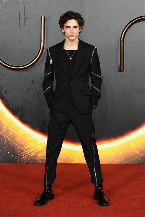 TImothee Chalamet's Most Daring Red-Carpet Looks From the Last 8 Years