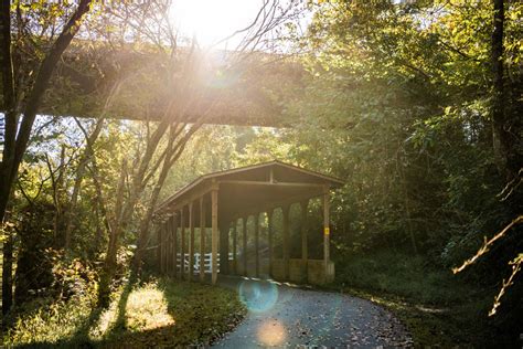 A Perfect Fall Bike Ride on the Neuse River Greenway Trail in Raleigh, N.C.