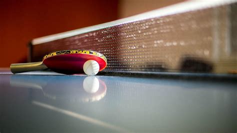 5 Best Table Tennis Rackets That You Can Buy Online | Playo