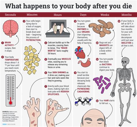 Esto es lo que le ocurre a nuestros cuerpos después de morir - Sopitas.com