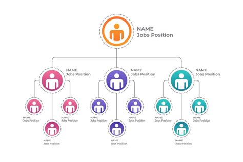 Organizational Patterns - Definition, Meaning And Types