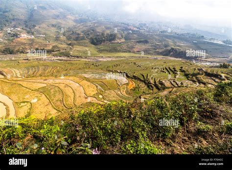 Rice terraces landscape in Sa Pa Stock Photo - Alamy