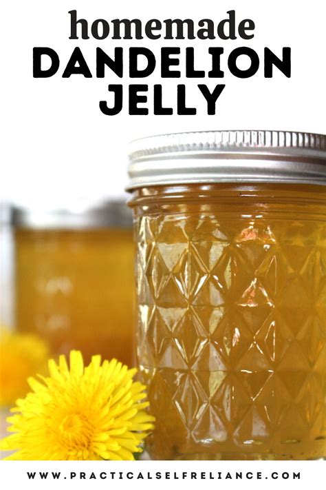 Dandelion Jelly | Recipe | Dandelion jelly, Dandelion recipes, Jelly ...