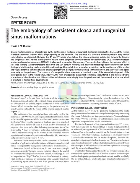 (PDF) The embryology of persistent cloaca and urogenital sinus ...