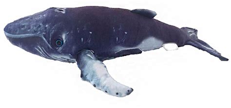 Humpback Whale 16" Plush Stuffed Animal – Texas Toy Distribution