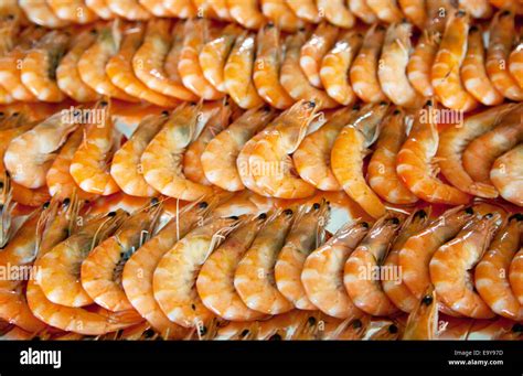 Zhejiang Zhoushan seafood bamboo shrimp Stock Photo - Alamy