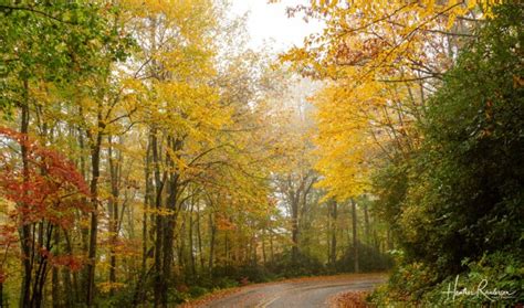 The 5 Best Places to See South Carolina Fall Foliage - RaulersonGirlsTravel