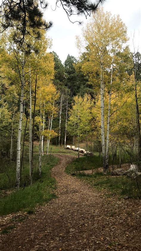 Lincoln National Forest, NM, USA : hiking