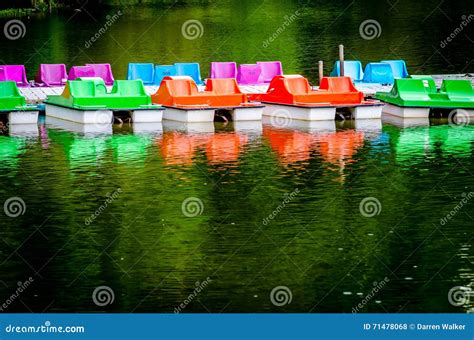 Pedalo Pedalo editorial stock photo. Image of leisure - 71478068