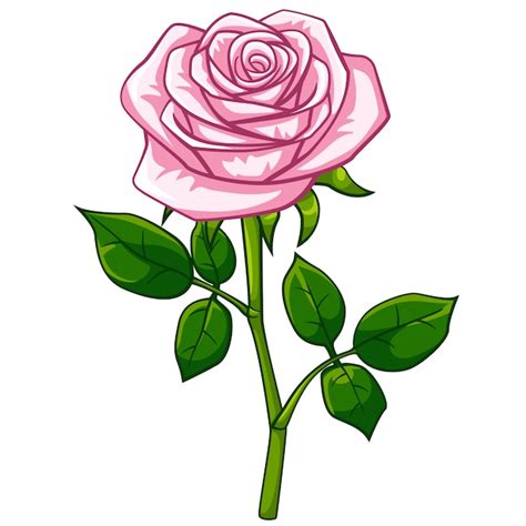 Premium Vector | Pink rose cartoon style