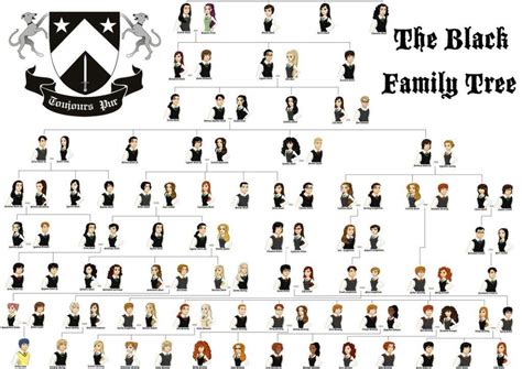 The Black Family | Wiki | Harry Potter Amino