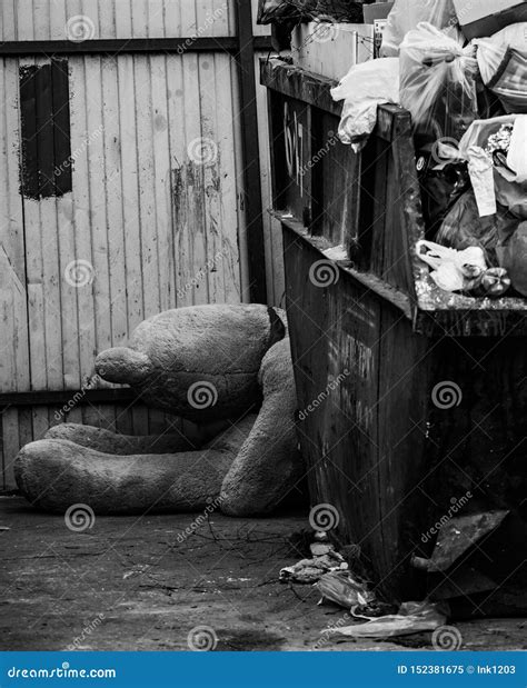 Trash Can with a Teddy Bear Stock Image - Image of splashing, cries: 152381675