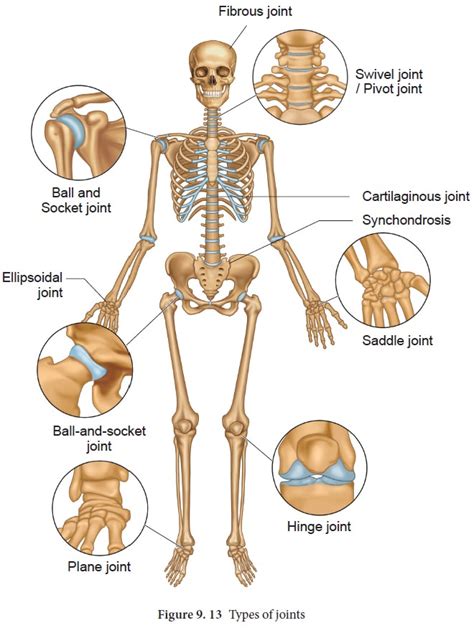 Types of joints