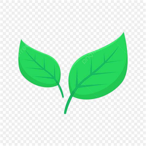 Gambar Dua Daun Vektor Ilustrasi, Daun, Daun Daun, Vektor PNG dan ...