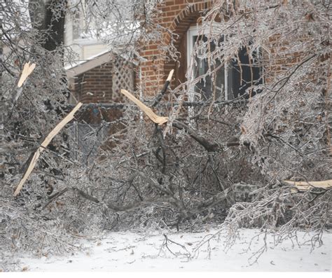 Best Tips for Avoiding and Preparing for Winter Storm Damage