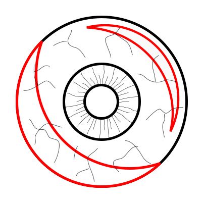 how to draw a cartoon eyeball | Cartoon eyeball, Eyeball drawing, Eyeballs drawing