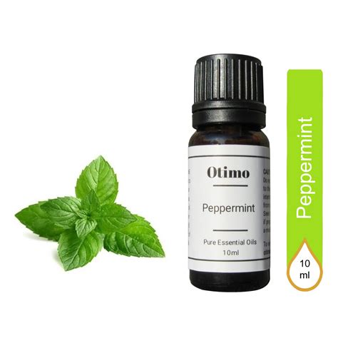 Peppermint Mentha Arvensis (Cornmint Oil), Essential Oil 10ML - Otimo ...