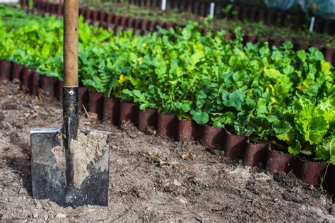 Premium Photo | Farmer's garden tool shovel gardening concept agricultural work on the plantation