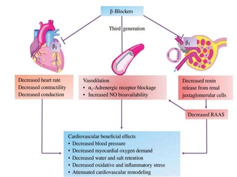 Beta adrenergic blockers