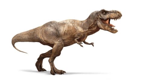 This Dinosaur Had Tiny Arms Like T. Rex