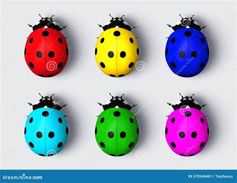 Colored Ladybugs Royalty Free Stock Photos - Image: 37054448