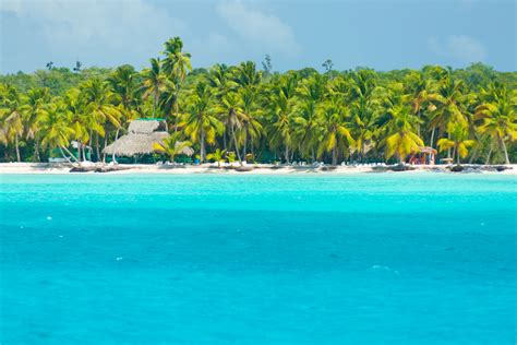 Saona Island Free Stock Photo - Public Domain Pictures