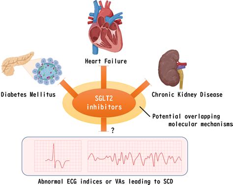 Remaining question of whether SGLT2 inhibitors improve abnormal ...