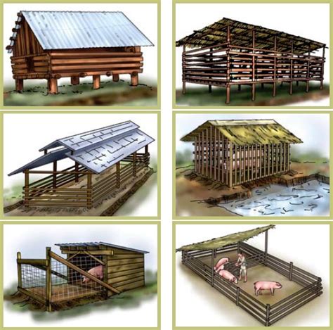 How to Farm Pigs - Housing | The Pig Site