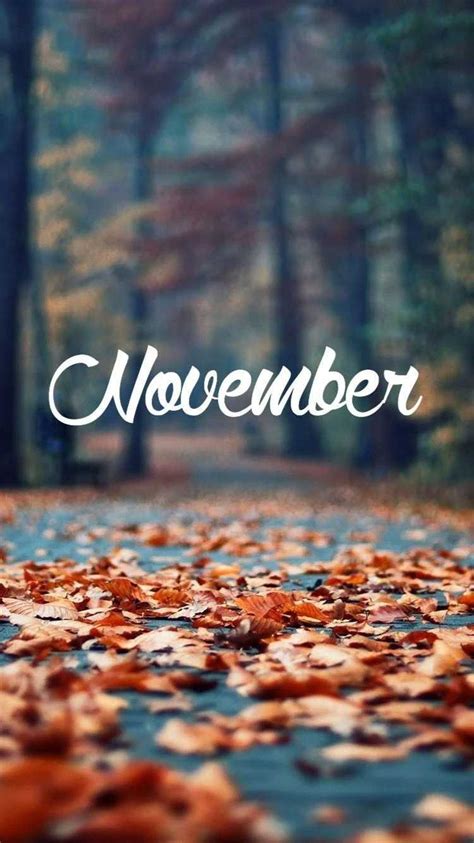 4K November Wallpaper | WhatsPaper