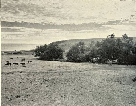 The history of how Malibu grew - Curbed LA