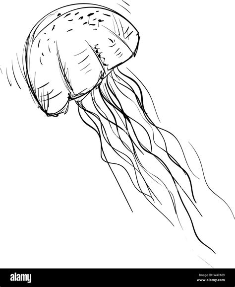 Aggregate 149+ easy jellyfish drawing latest - vietkidsiq.edu.vn