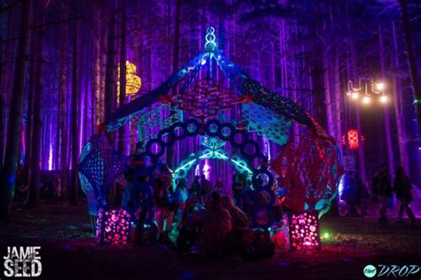 Sights from the Forest: 10 Photos of Electric Forest's Epic Art ...