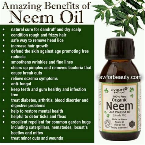 http://www.essentialoils.co.za/neem-oil-uses-used-for.htm Neem oil (Do ...