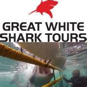 Great White Shark Tours | Overstrand