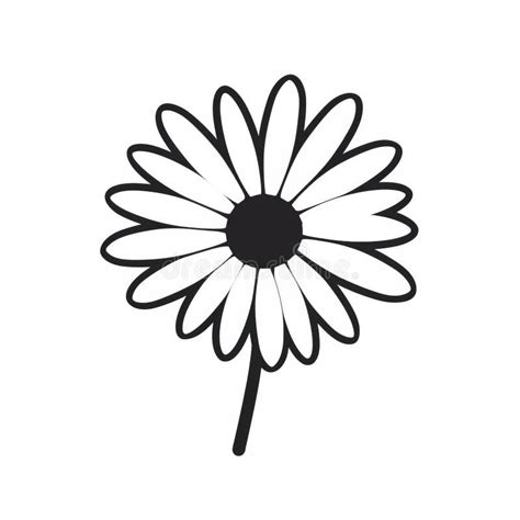 Daisy Flower Clip Art Black White