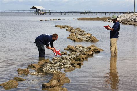 Restoring the Gulf: 10 Years After Deepwater Horizon Oil Spill | NOAA ...