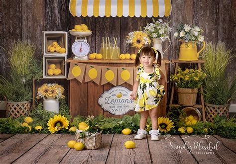 Lemonade Stand Set Up | Backdrops, Muslin backdrops, Lemonade stand