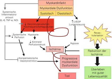 [DIAGRAM] Cardiogenic Shock Pathophysiology Diagram - MYDIAGRAM.ONLINE