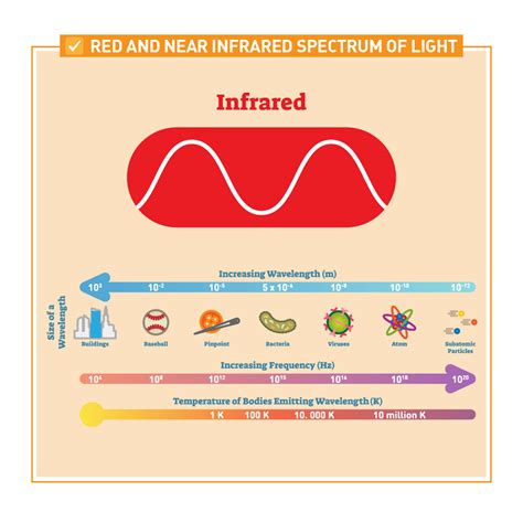 The Benefits of Red Light Therapy - Austin Texas Functional Medicine and Nutrition