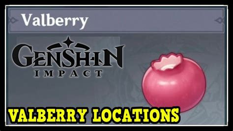 Genshin Impact Valberry Locations (Character Level Up Material to Ascend) - YouTube