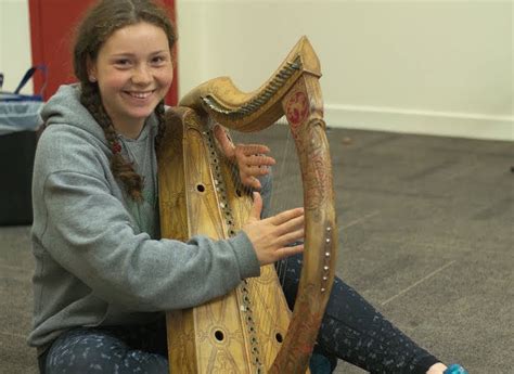 Early Irish Harp Discovery Days in Waterford and Galway | The Journal ...