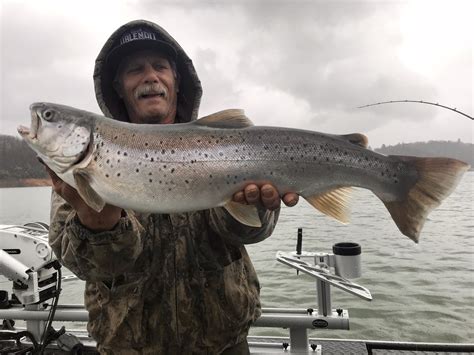 Shasta Lake Fishing Report — Jeff Goodwin Fishing