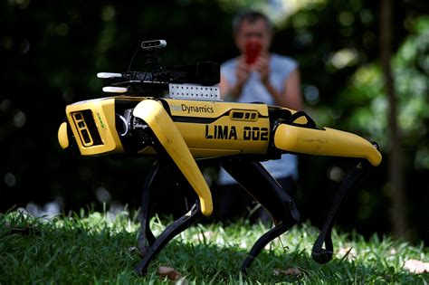 SPOT: A Robotic Dog That Wants to Make Sure You are Social Distancing in the Park | The National ...